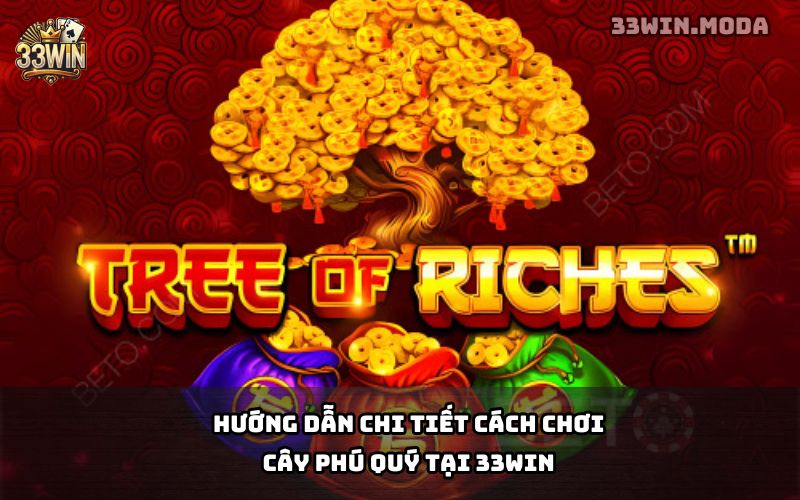 Cây Phú Quý 33Win