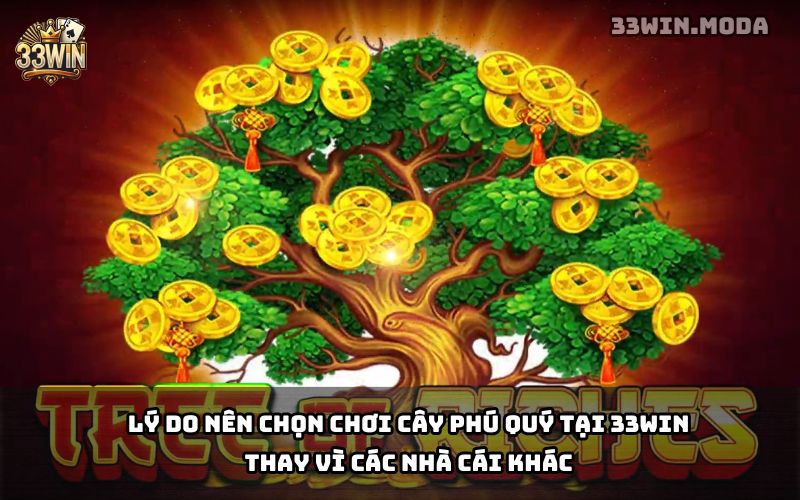 Cây Phú Quý 33Win